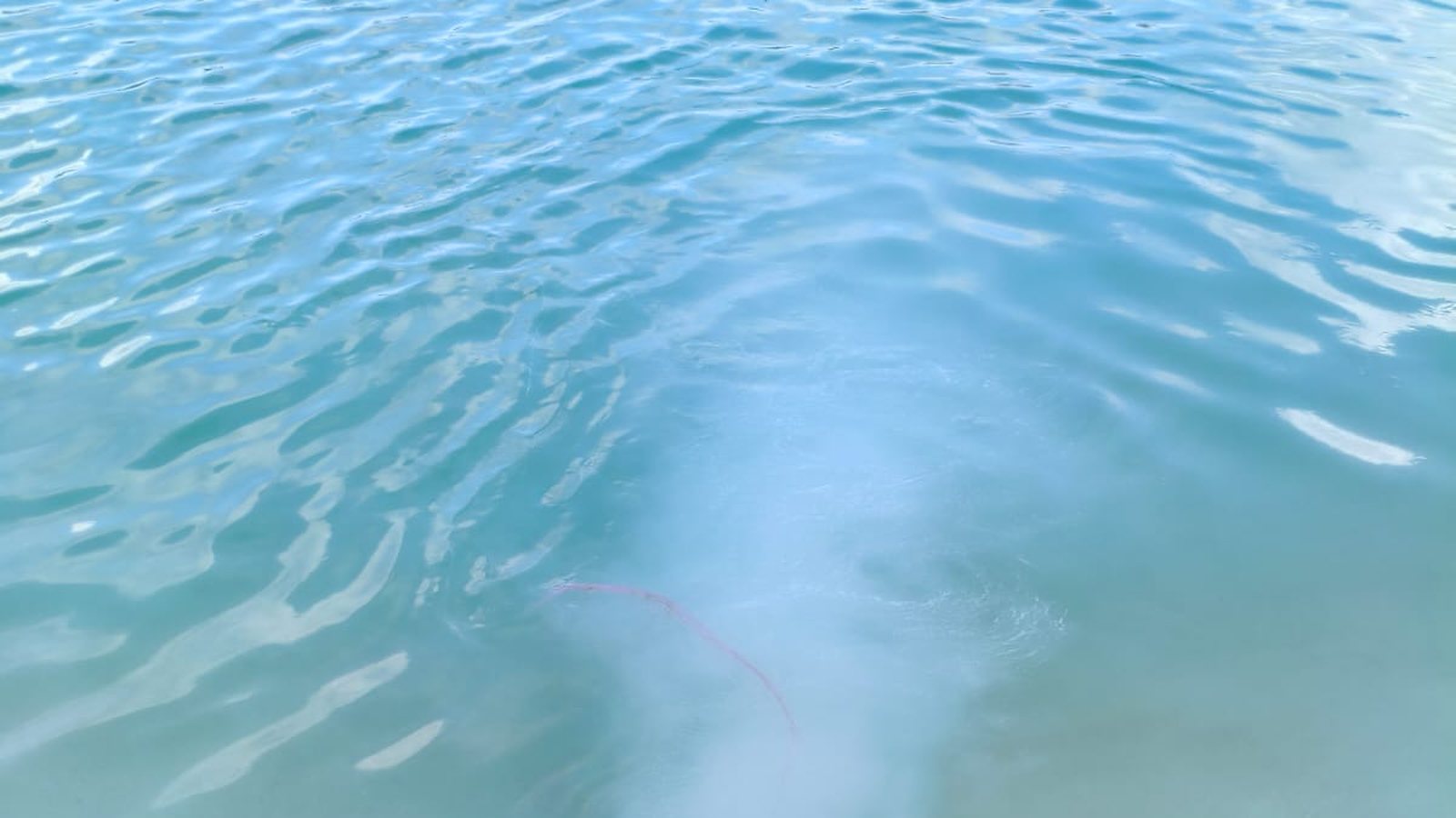 Agua tratada por Water Wizard